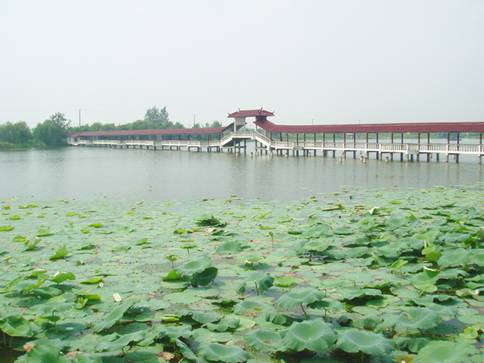 上海淀山湖金龟岛拓展培训基地